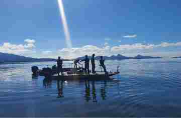 Período de Defeso da Piracema termina no domingo em todo o Paraná
